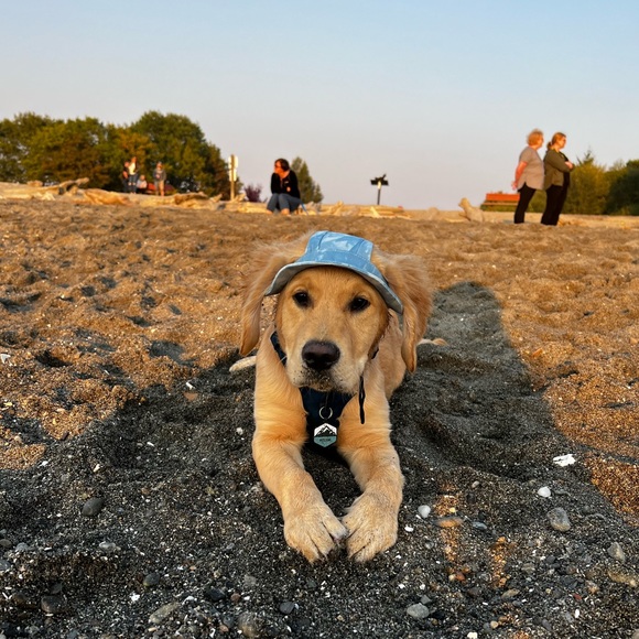 A little bit about me:) - Picture 3 of 11